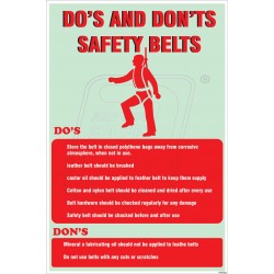 Do's and don't s safety belt