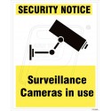 Surveillance cameras in use