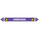 Pipe Marking Sticker -Ammonia