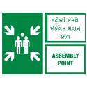 Assembly Point 