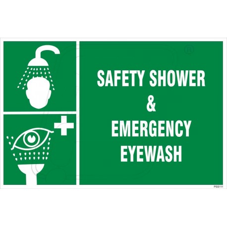 Safety shower and emergency eye wash