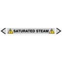 Saturated Steam