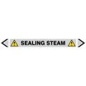 Sealing Steam