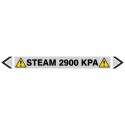 Steam 2900 KPA