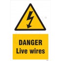 Danger Live Wires