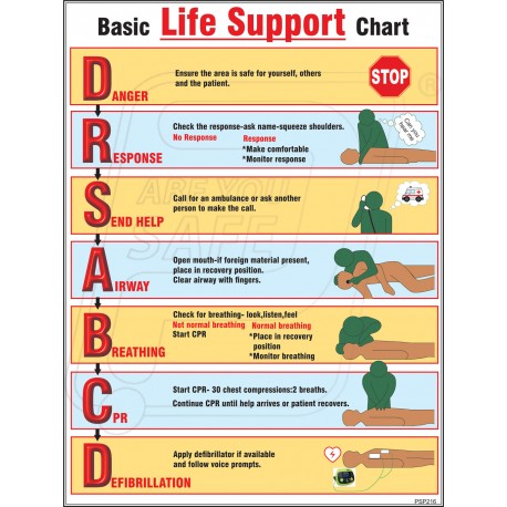 Protector Firesafety India Pvt. Ltd. - Basic life support ...