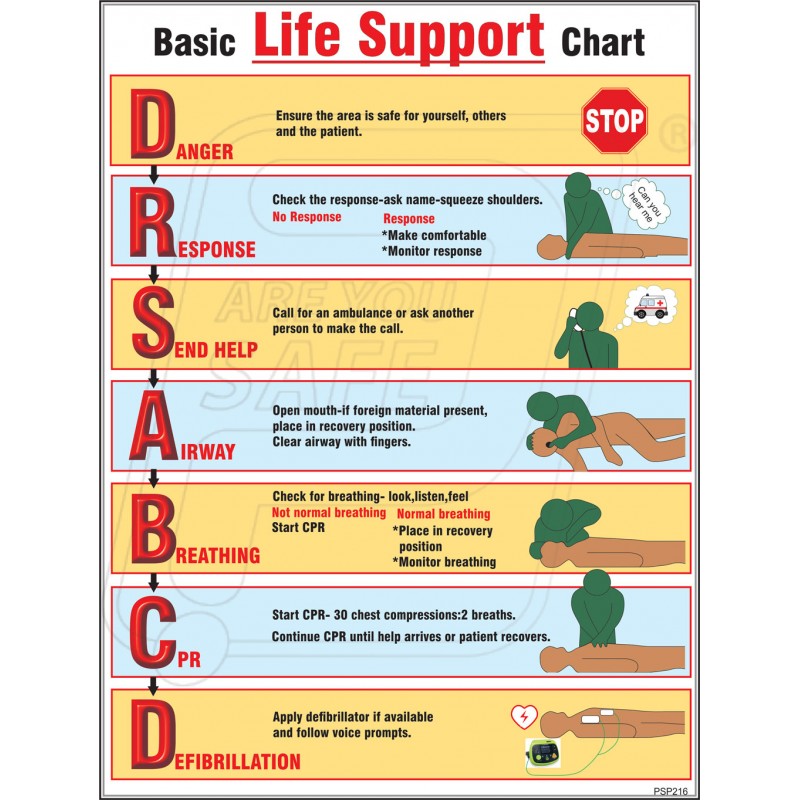 Basic Life Support Chart