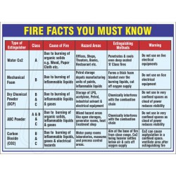 Fire Fact You Must Know