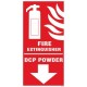 Fire Extinguisher DCP Type