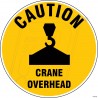 Crane Overhead