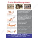 Snake Bite Management Chart in English