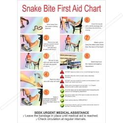 Snake Bite First Aid Chart (English)