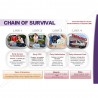 Chain for Survival Safety Chart