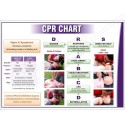 CPR Safety Chart