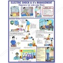 Electric Shock Treatment Chart (E & H)