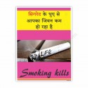 SMOKING KILL OUR LIFE