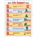BASIC LIFE SUPPORT CHART