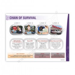 CHAIN OF SURVIVAL