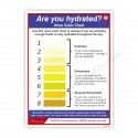 Urine Color Hydration safety poster