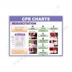 CPR SAFETY CHART