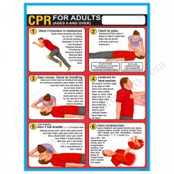 CPR  For Adults Chart