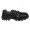 Safety shoes Dual Density ZM16 Zain / Lorex Safety Shoes