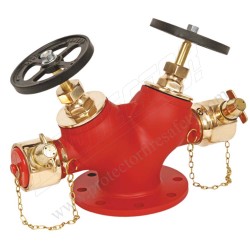 Fire Hydrant Landing Valve Double Gun Metal ISI | Protector FireSafety