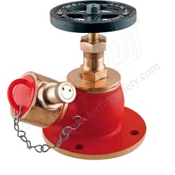Fire hydrant landing valve single gun metal ISI  Andex | Protector FireSafety