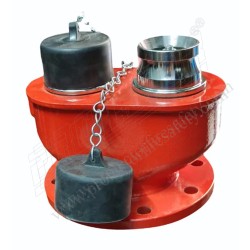 Fire hydrant two way inlet breeching valve SS | Protector FireSafety