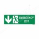 Emergency Exit Left Down Arrow Sign
