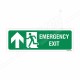 Emergency Exit Left Up Arrow Sign