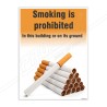 Smoking Is Prohibited No Smoking Safety Posters| Protector FireSafety