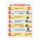 Basic Life Support First Aid Safety Posters