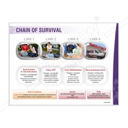 Chain Of Survival First Aid Safety Posters| Protector FireSafety