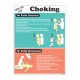Chocking First Aid Safety Posters