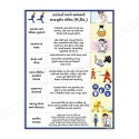 Sulfuric Acid Chemical Safety Poster| Protector FireSafety