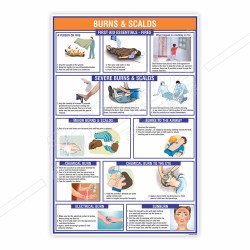 First Aid Of Burns And Scalds Safety Chart| Protector FireSafety