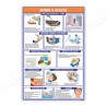 First Aid Of Burns And Scalds Safety Chart| Protector FireSafety