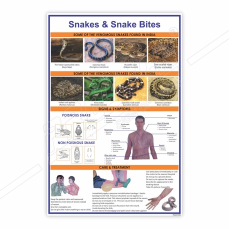 Snake And Snake Bite Safety Chart| Protector FireSafety