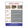 Snake Bite Management Hindi Safety Chart| Protector FireSafety