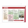 First Aid For Burns Safety Chart| Protector FireSafety