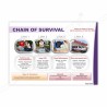 Chain Of Survival Safety Chart| Protector FireSafety