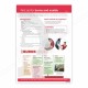 First Aid Of Burns And Scalds Safety Chart