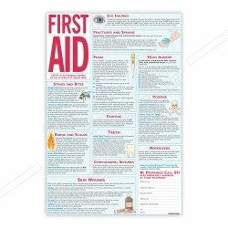 First Aid Safety Chart| Protector FireSafety