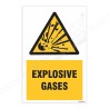 Explosive Gases Warning Sign| Protector FireSafety