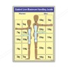 Guide Of Maximum Handling load Material Handling Safety Posters| Protector FireSafety