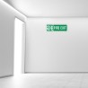 Fire Exit Sign| Protector FireSafety