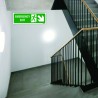 Emergency Exit Right Down Cross Arrow Sign| Protector FireSafety