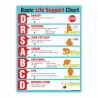 Basic Life Support Safety Posters| Protector FireSafety