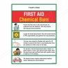 Chemical Burn First Aid Safety Posters| Protector FireSafety